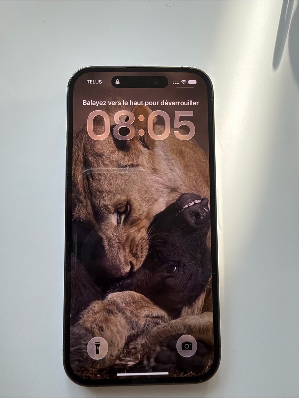 Apple iPhone 14 Pro 256giga Black Front with Dark Wallpaper
